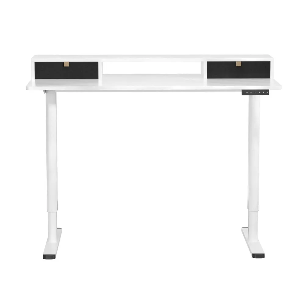 Dual-Motor Electric Standing Desk 120CM with Storage - Artiss