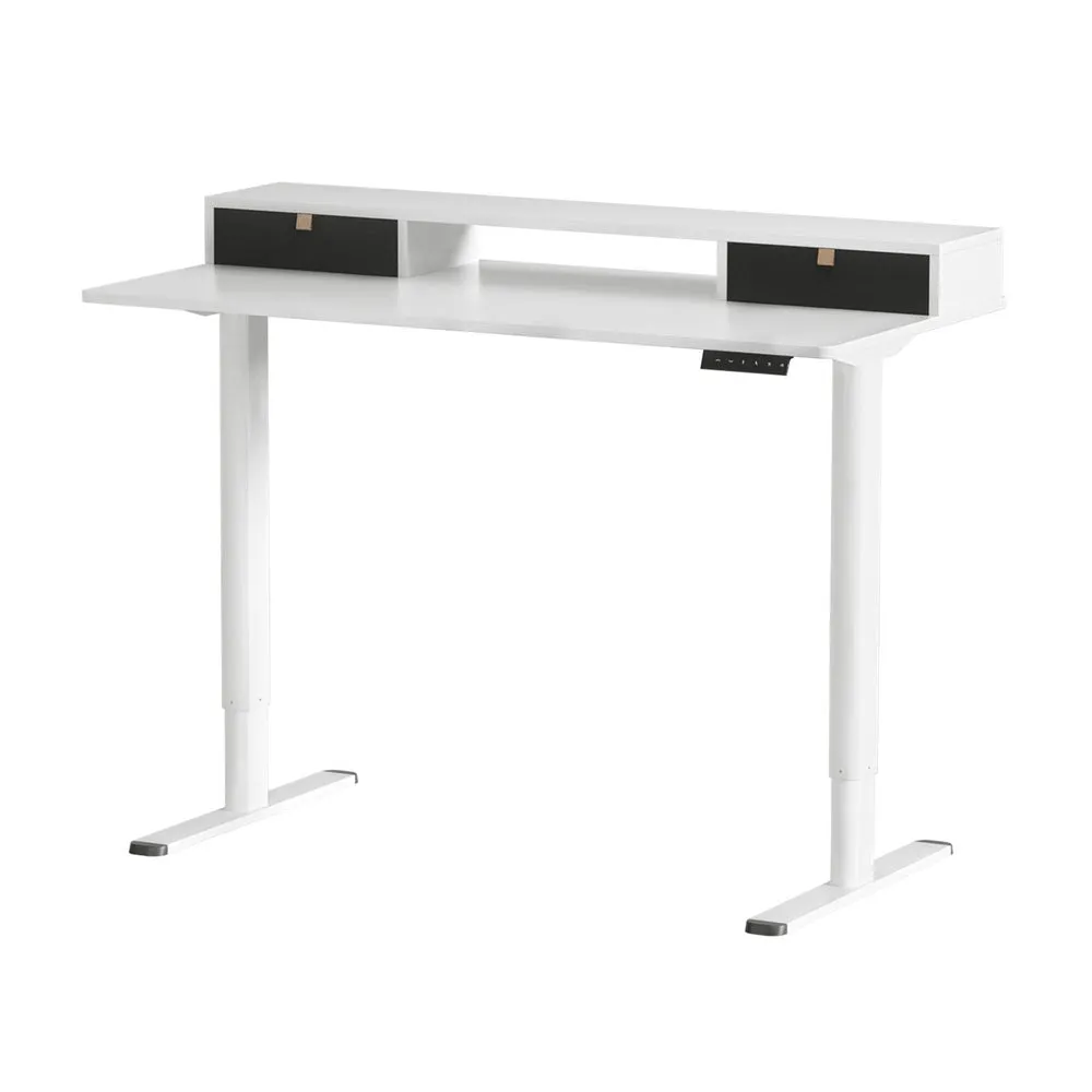 Dual-Motor Electric Standing Desk 120CM with Storage - Artiss